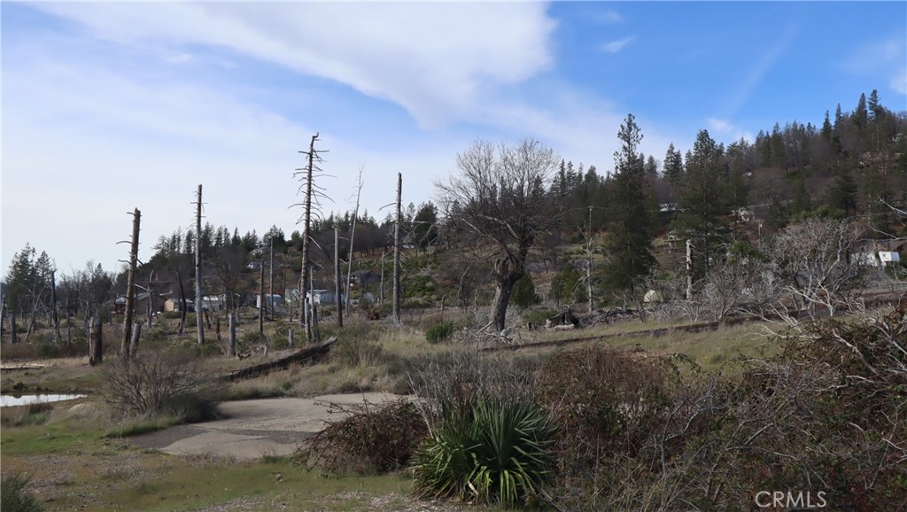 15057 E Hoberg Drive Property Photo 9