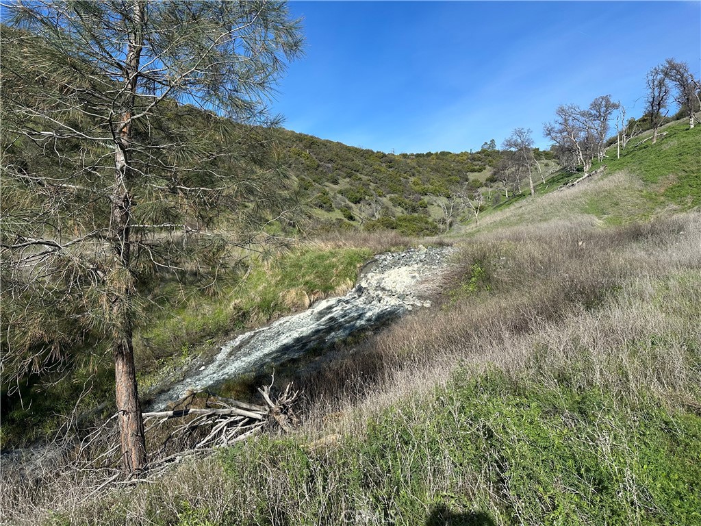 25156 E State Hwy 20 Property Photo 5