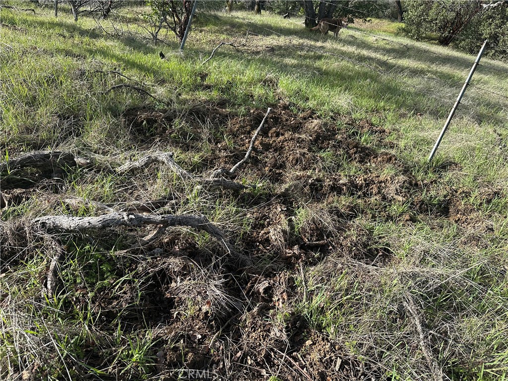 25156 E State Hwy 20 Property Photo 10