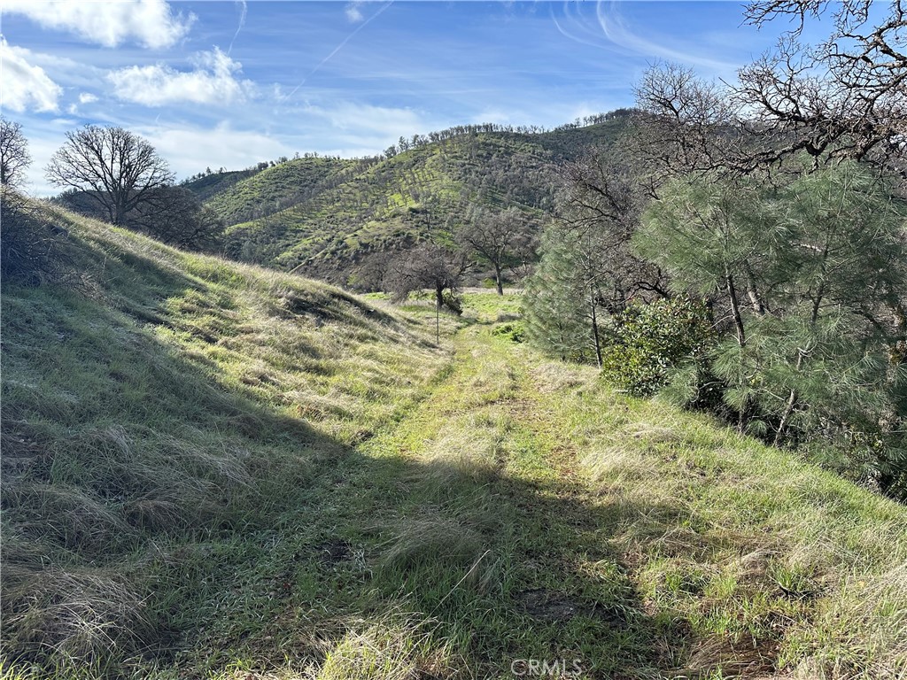 25156 E State Hwy 20 Property Photo 12