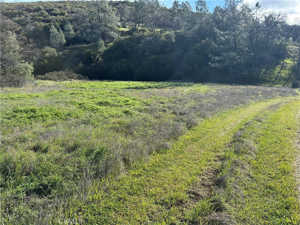 25156 E State Hwy 20 Property Photo 13