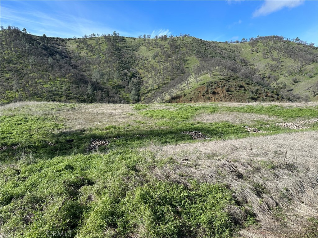 25156 E State Hwy 20 Property Photo 15