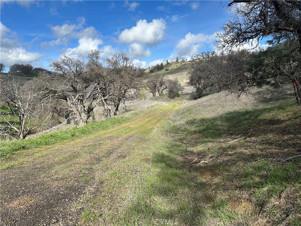 25156 E State Hwy 20 Property Photo 17