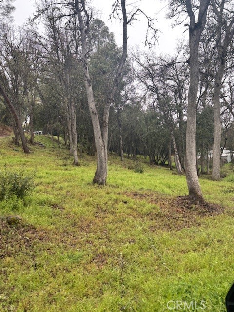 5877 Armijo Property Photo 3