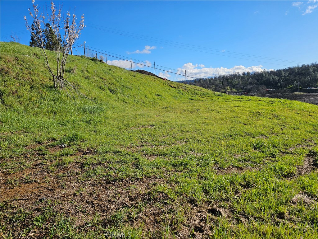 10167 Bell S Property Photo 4