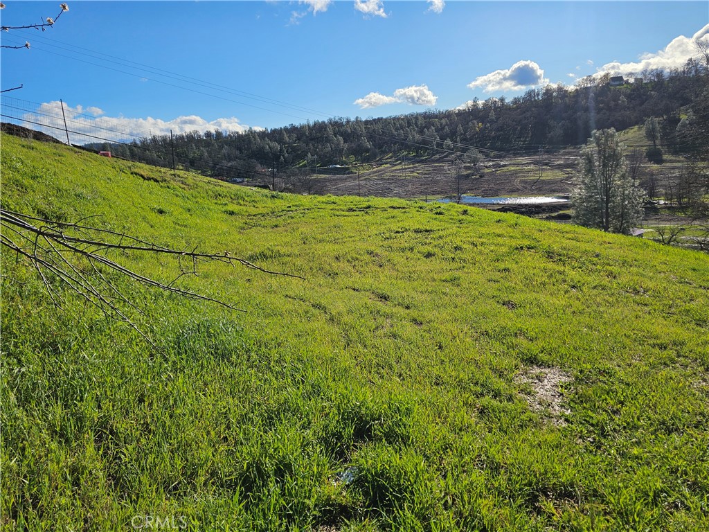 10167 Bell S Property Photo 5