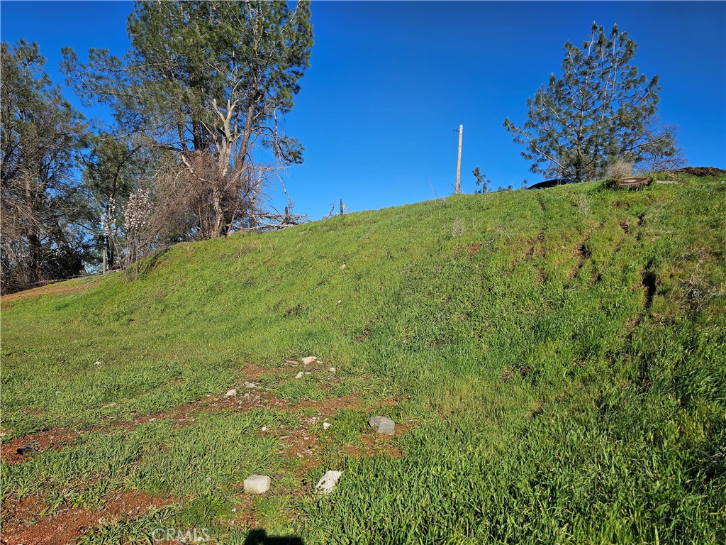 10167 Bell S Property Photo 6