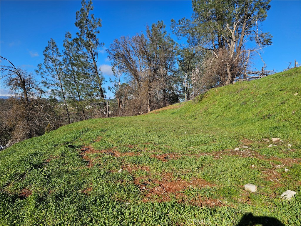 10167 Bell S Property Photo 7