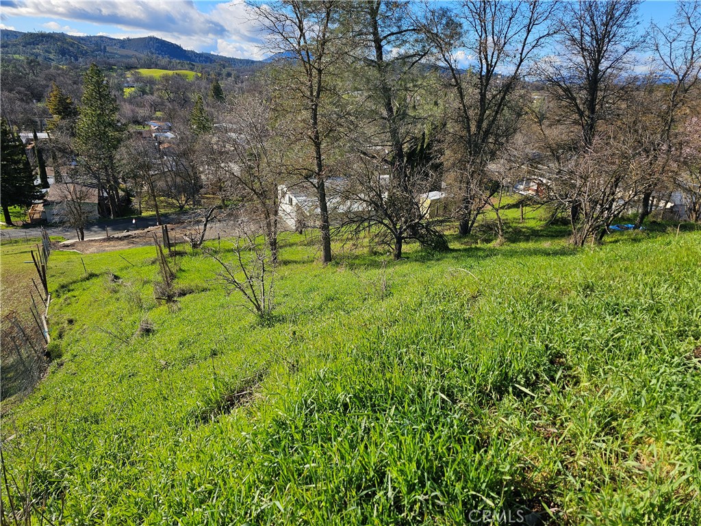 10167 Bell S Property Photo 8