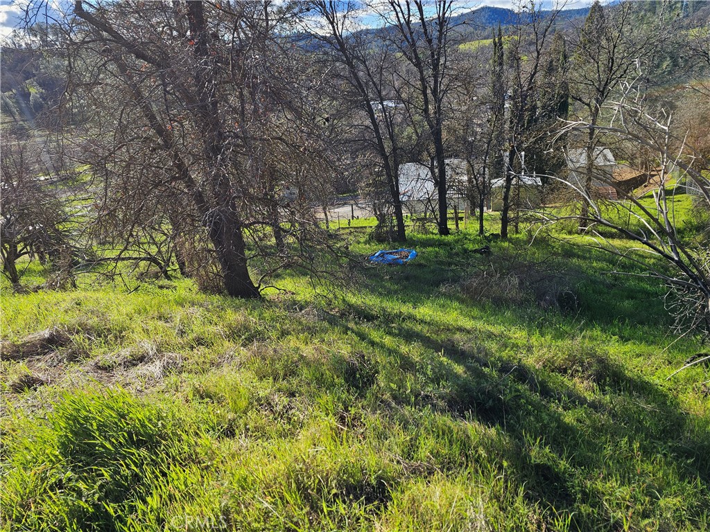 10167 Bell S Property Photo 9