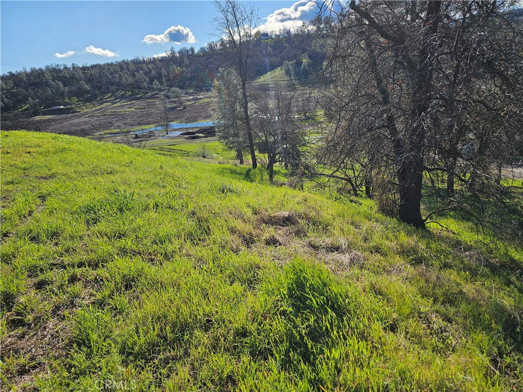10167 Bell S Property Photo 10