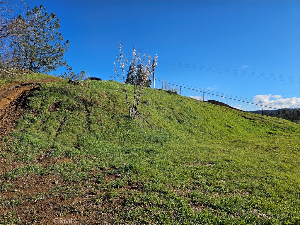 10167 Bell S Property Photo 12