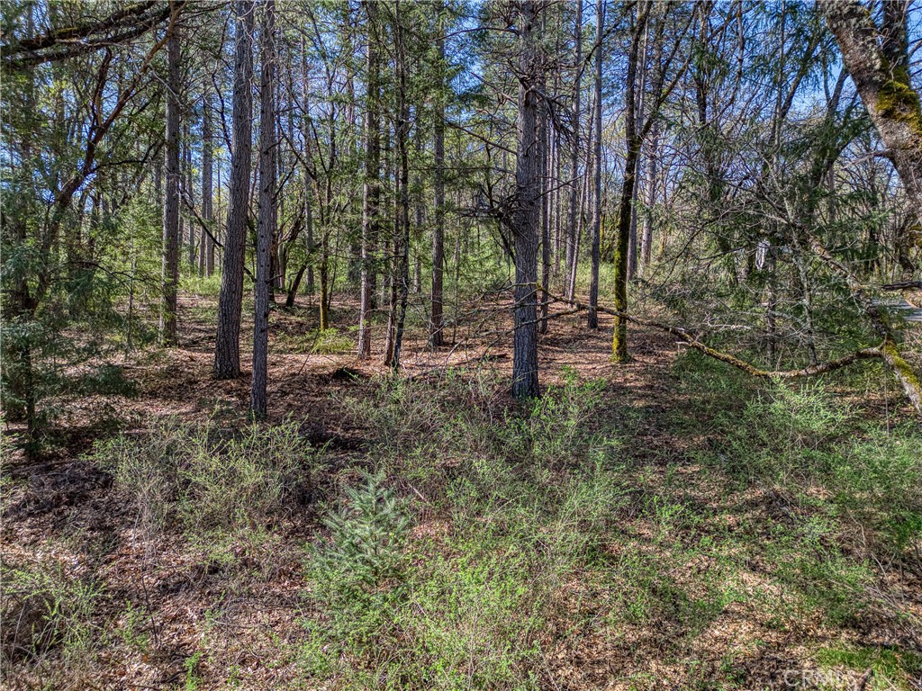 15347 Western Mine Property Photo 1