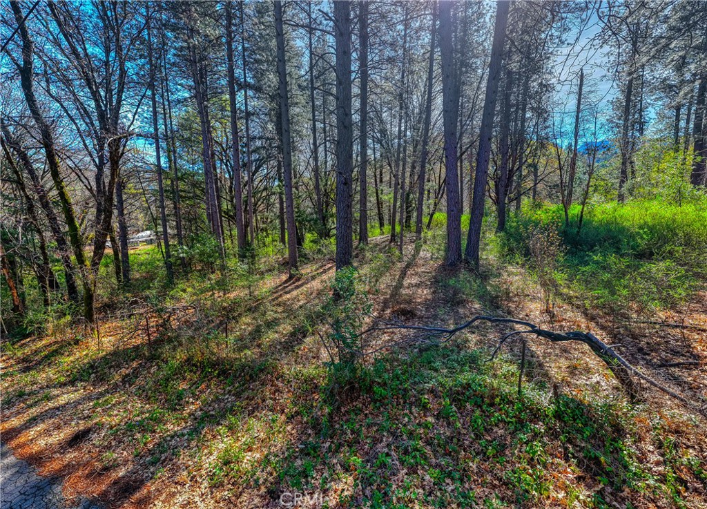 15347 Western Mine Property Photo 3