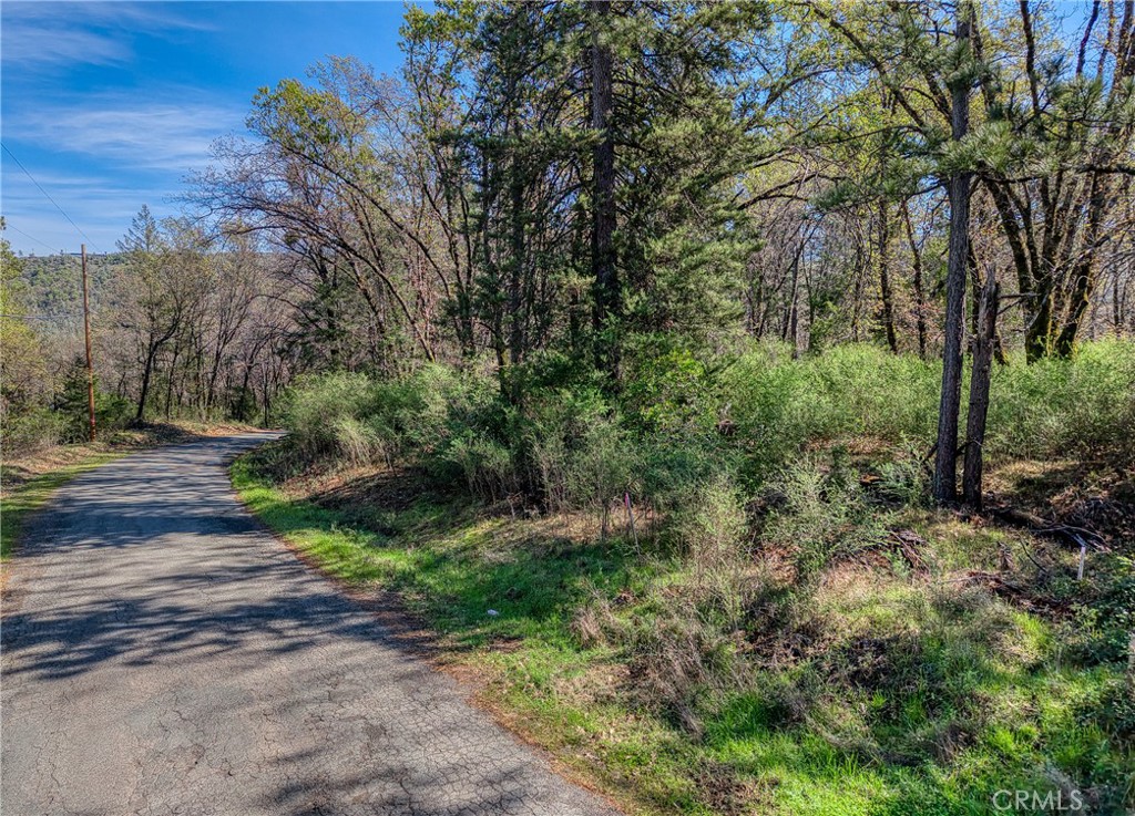 15347 Western Mine Property Photo 4