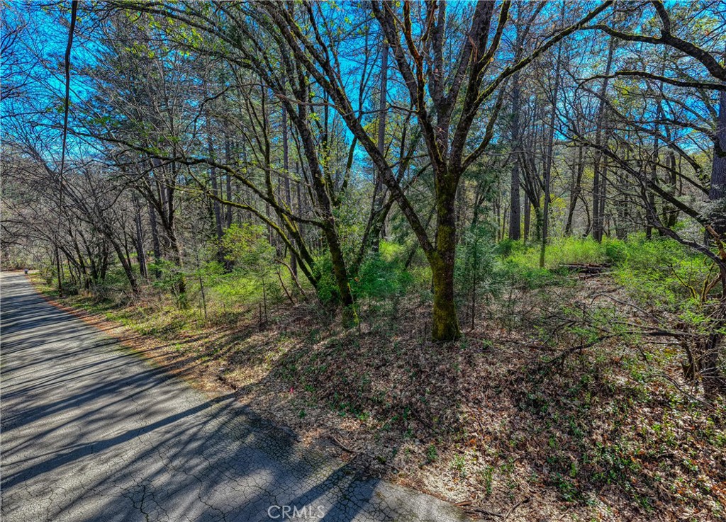 15347 Western Mine Property Photo 5