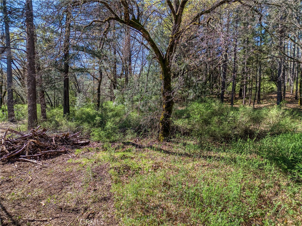 15347 Western Mine Property Photo 6