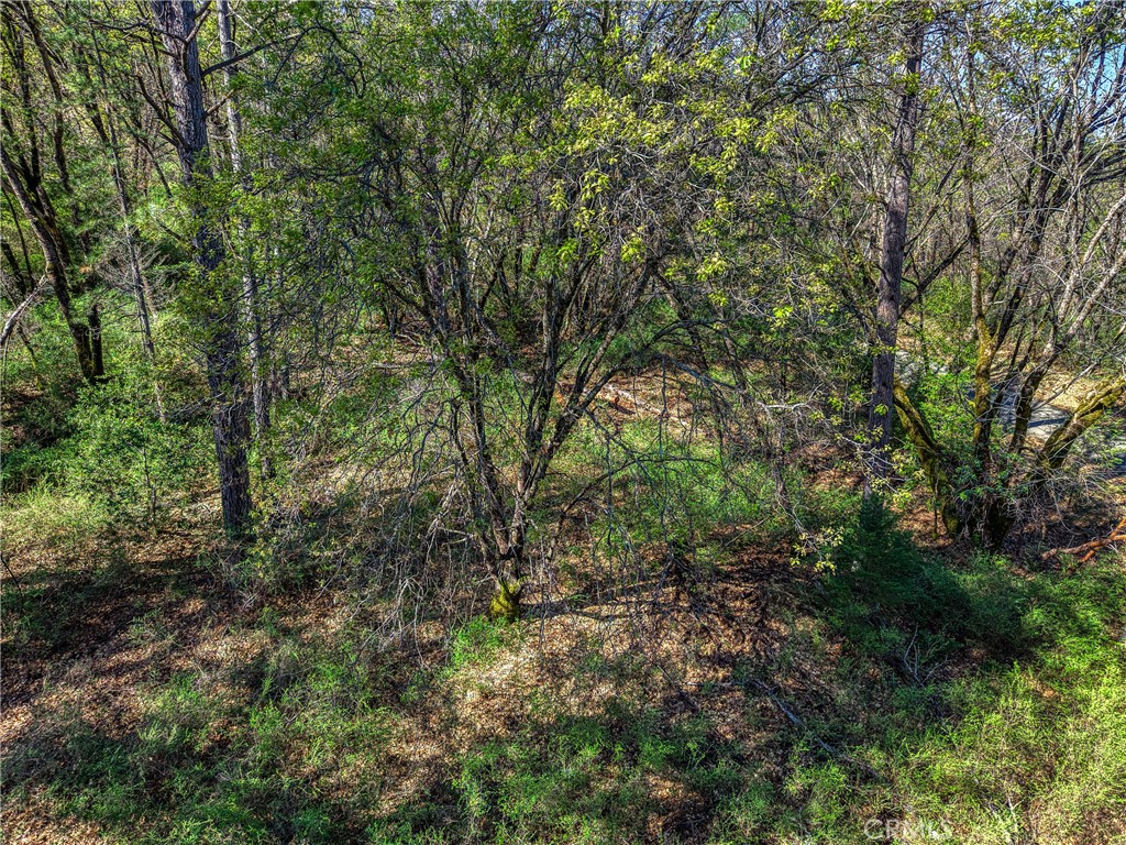 15347 Western Mine Property Photo 9