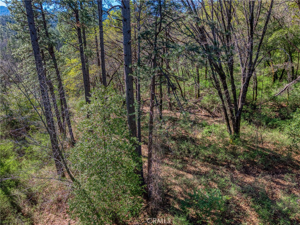 15347 Western Mine Property Photo 10