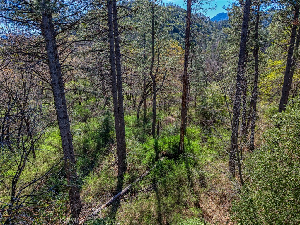 15347 Western Mine Property Photo 11