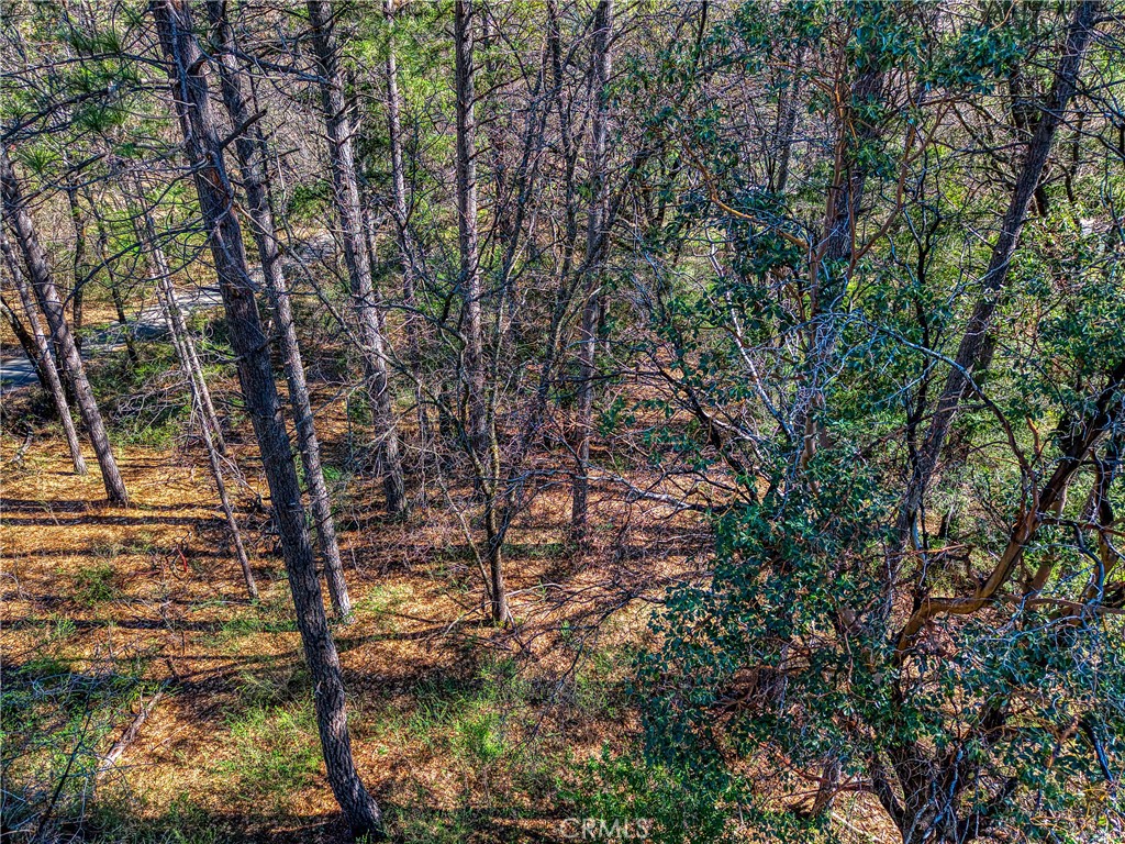 15347 Western Mine Property Photo 12