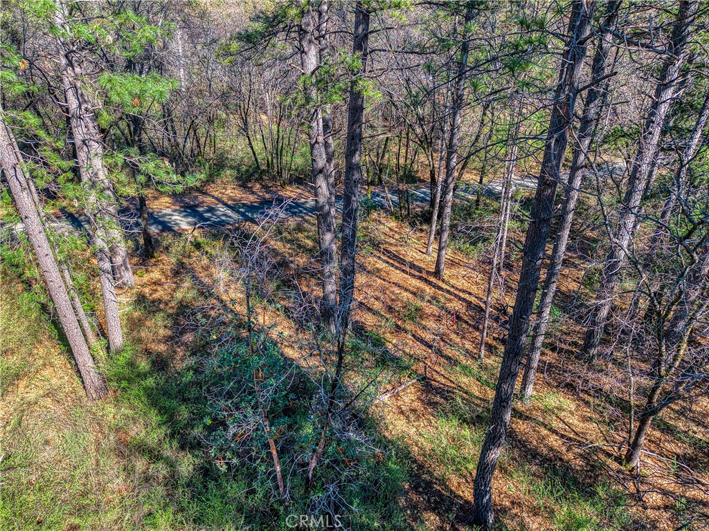 15347 Western Mine Property Photo 13