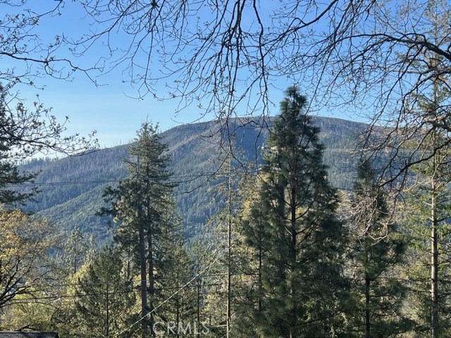 9591 Lassen Drive Property Photo 40