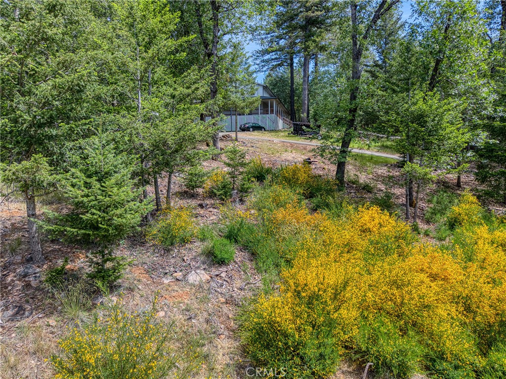8713 Fox Property Photo 7