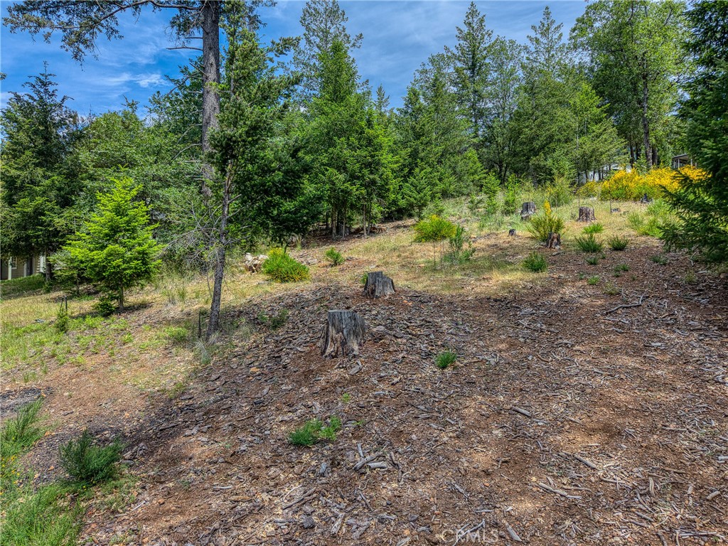 8713 Fox Property Photo 13