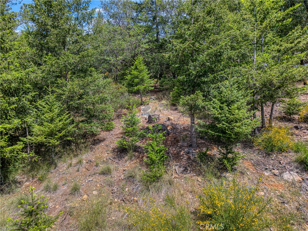 8713 Fox Property Photo 14