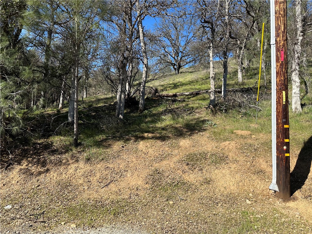 17509 Cache Creek Property Photo 1