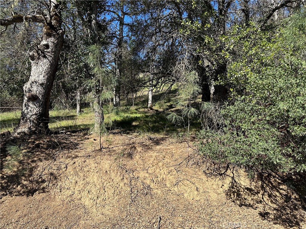 17509 Cache Creek Property Photo 2