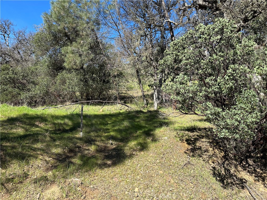 17509 Cache Creek Property Photo 3