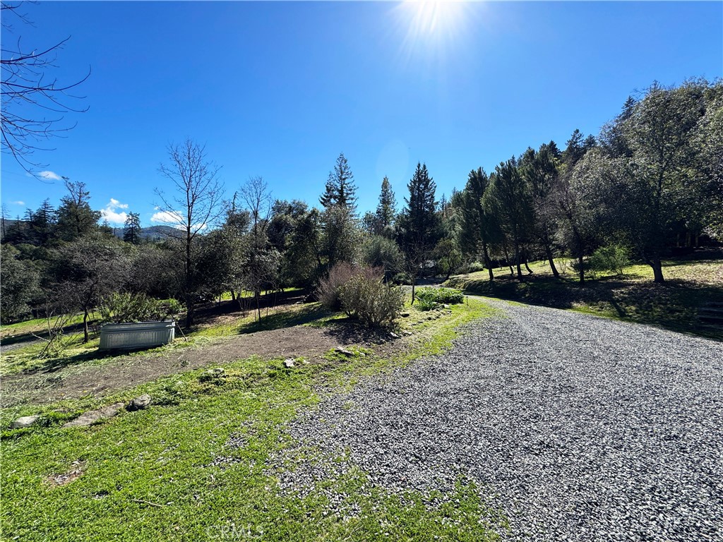 14605 Tomki Rd Property Photo 33