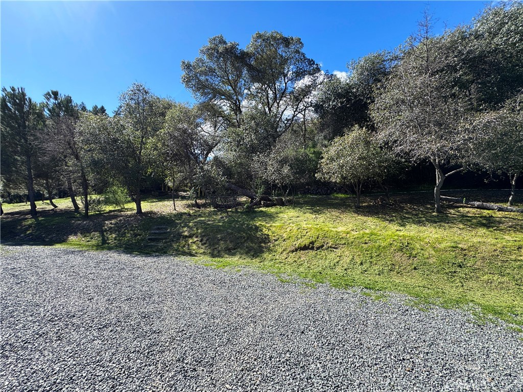14605 Tomki Rd Property Photo 34