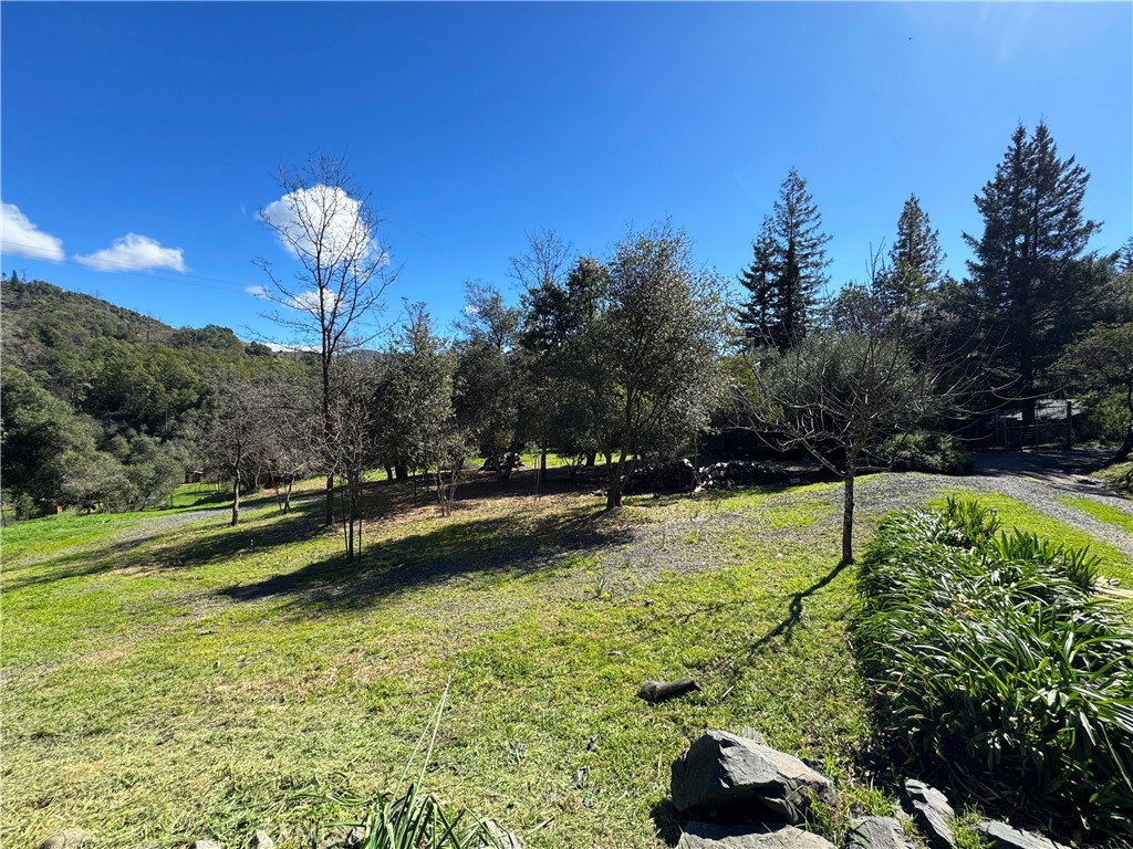 14605 Tomki Rd Property Photo 35