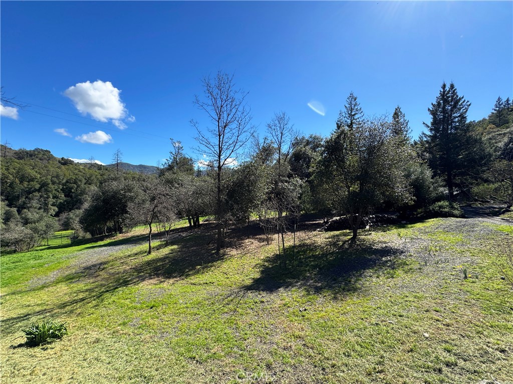 14605 Tomki Rd Property Photo 36