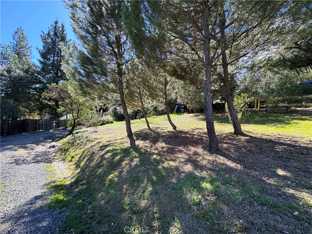 14605 Tomki Rd Property Photo 37