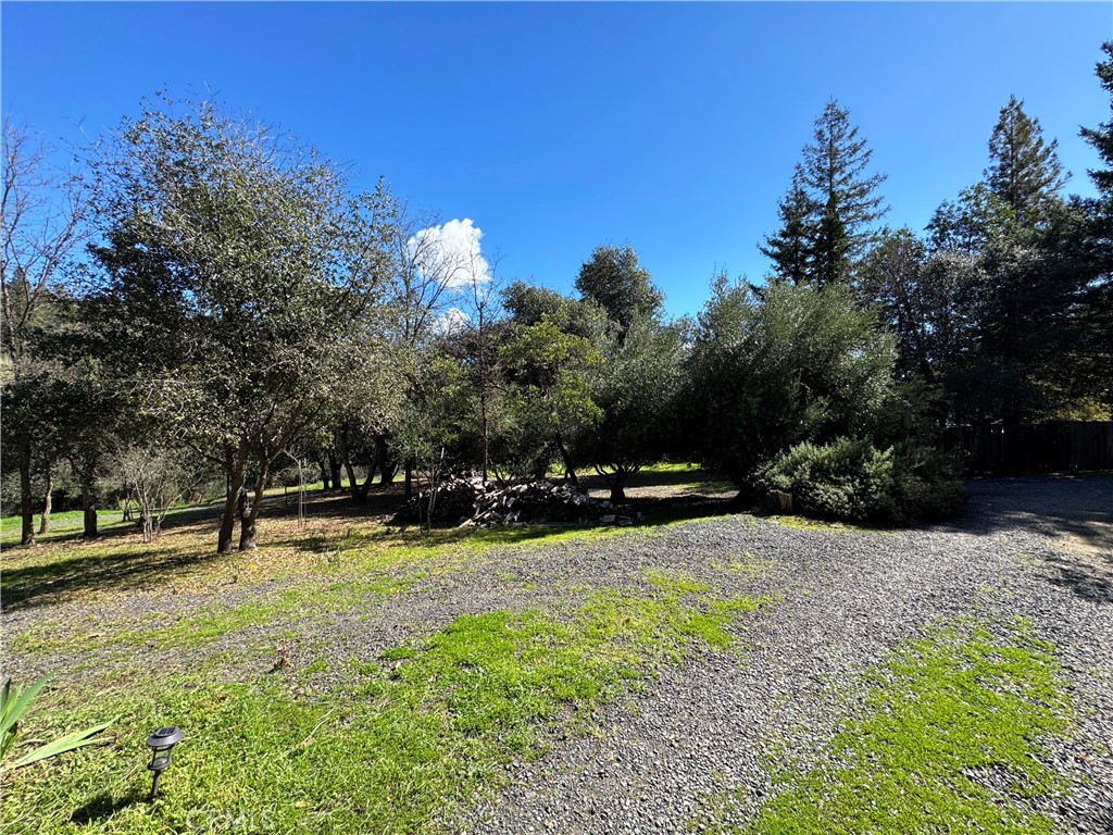 14605 Tomki Rd Property Photo 38