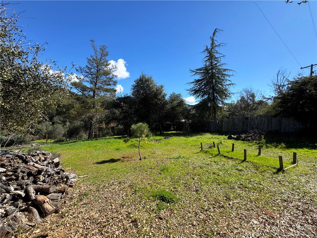 14605 Tomki Rd Property Photo 42