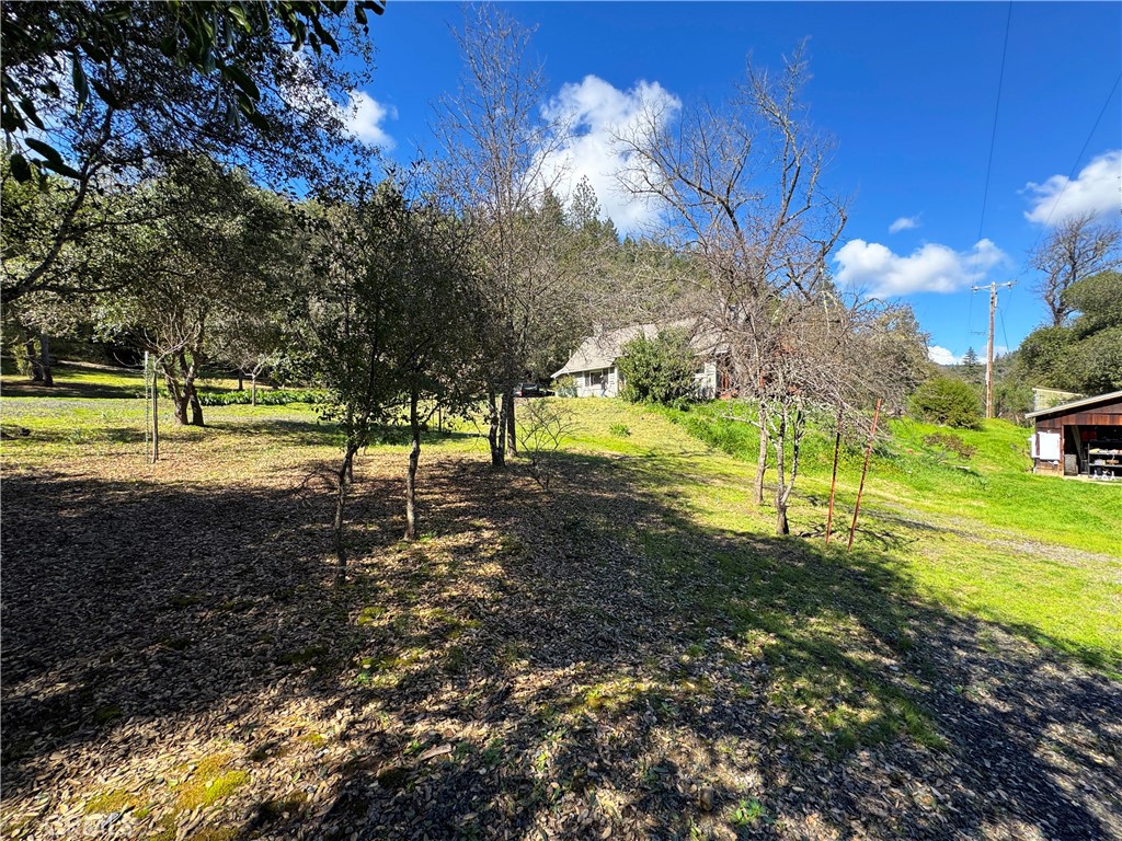 14605 Tomki Rd Property Photo 43