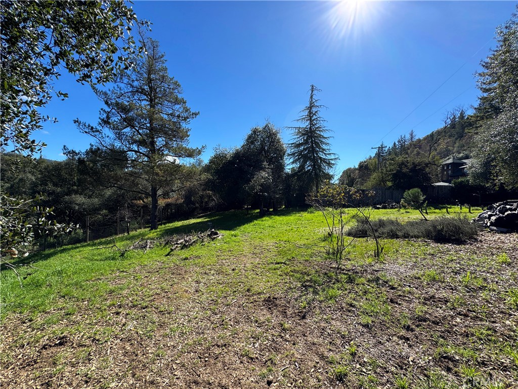 14605 Tomki Rd Property Photo 45