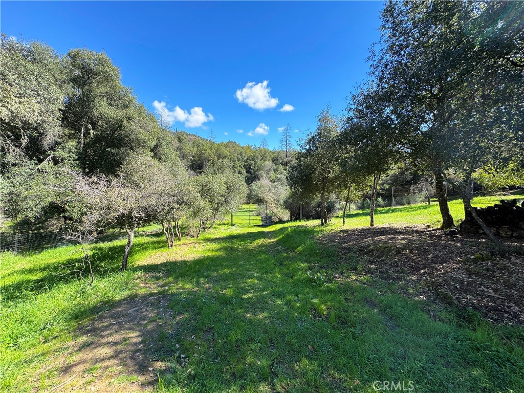 14605 Tomki Rd Property Photo 46