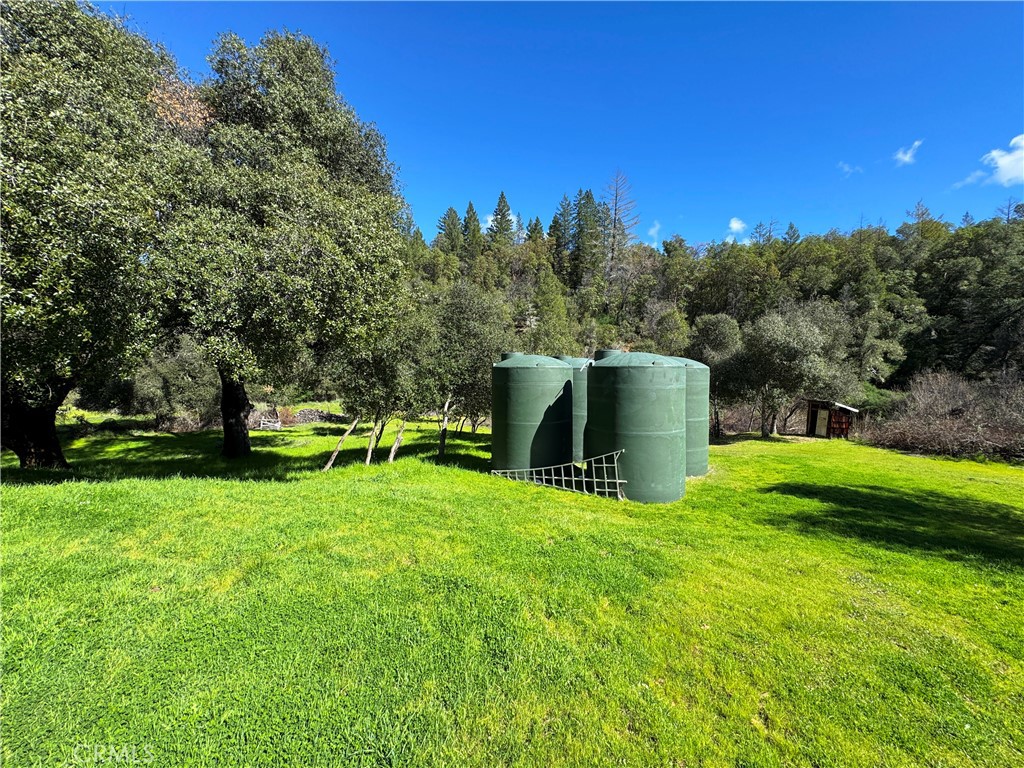 14605 Tomki Rd Property Photo 48