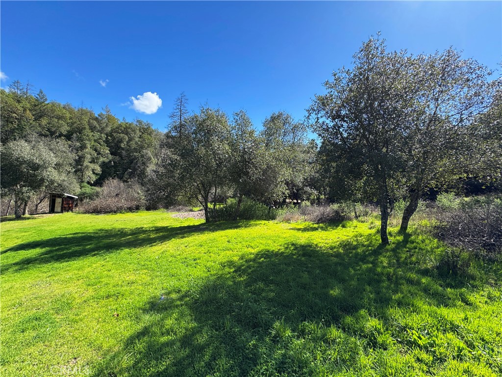 14605 Tomki Rd Property Photo 49