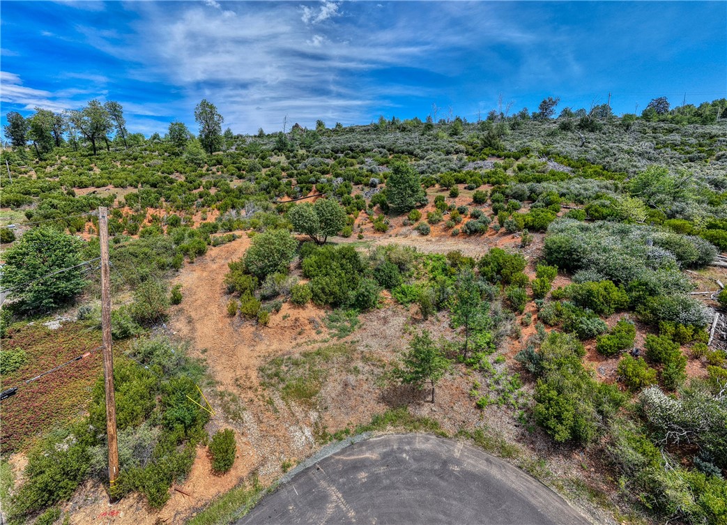 9738 Hoberg Drive E Property Photo 2