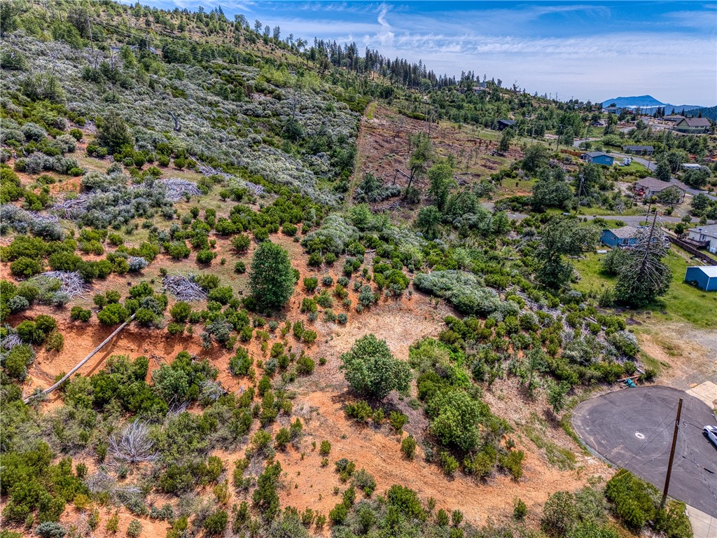 9738 Hoberg Drive E Property Photo 6