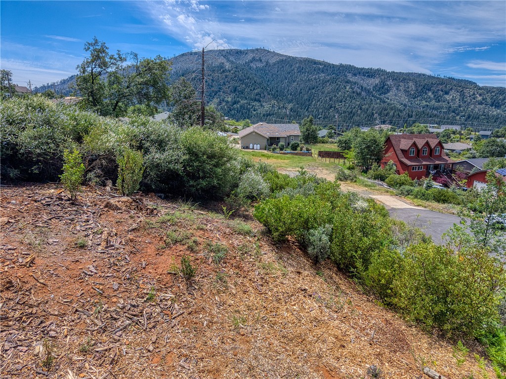 9738 Hoberg Drive E Property Photo 8