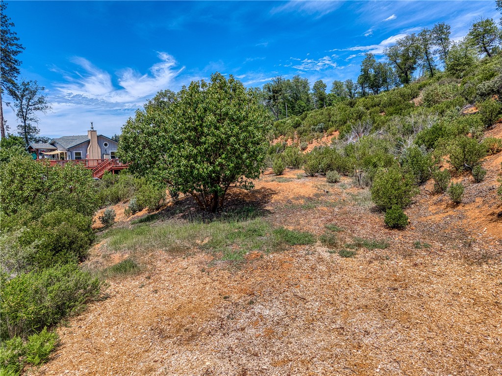 9738 Hoberg Drive E Property Photo 10
