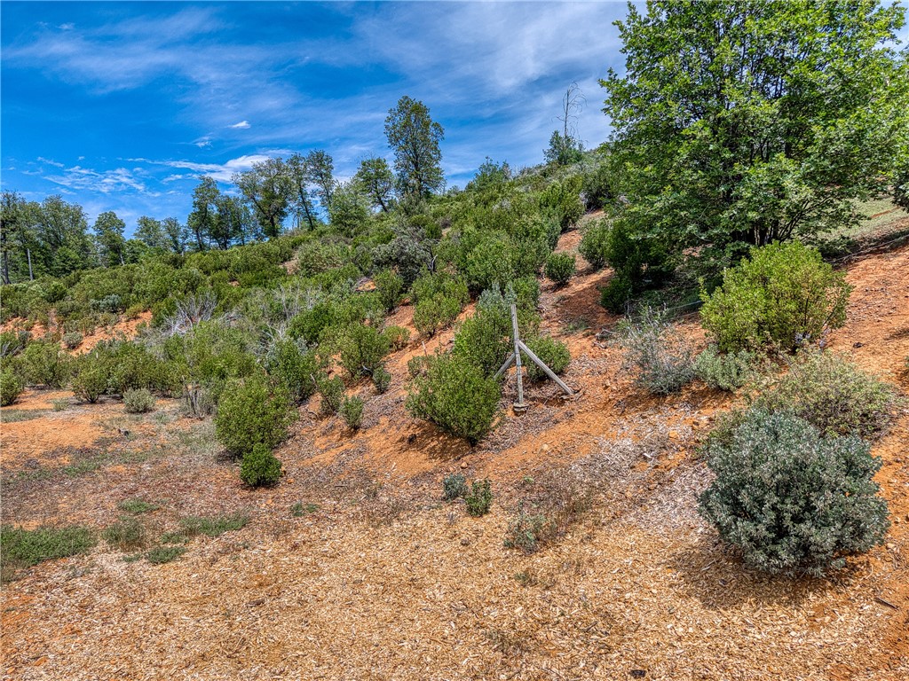 9738 Hoberg Drive E Property Photo 11